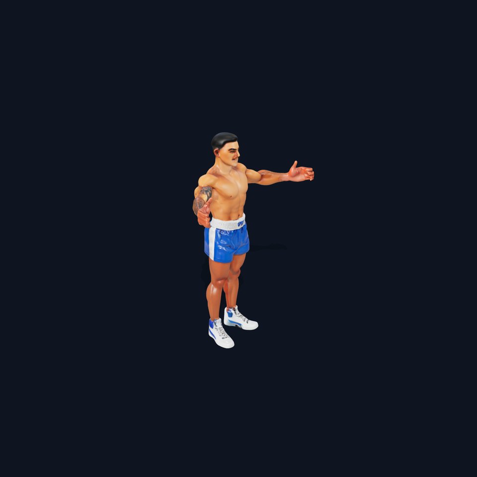 Boxer D Character Model Rigged and Animated